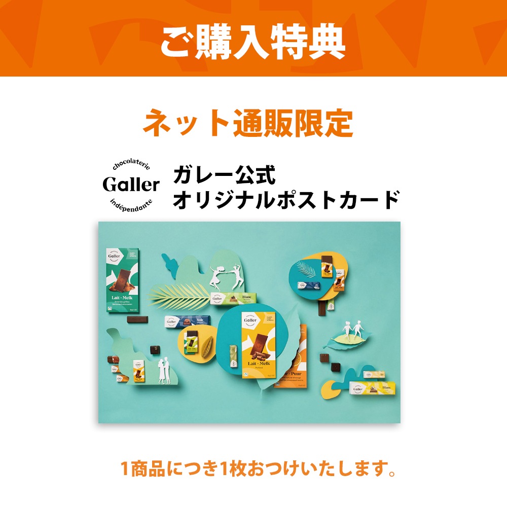 Galler 졼 ץߥॢå 12(ݥȥդ