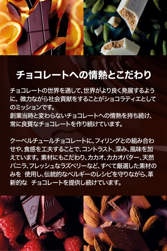 Galler 졼 ʥΥС 10 ߥ륯