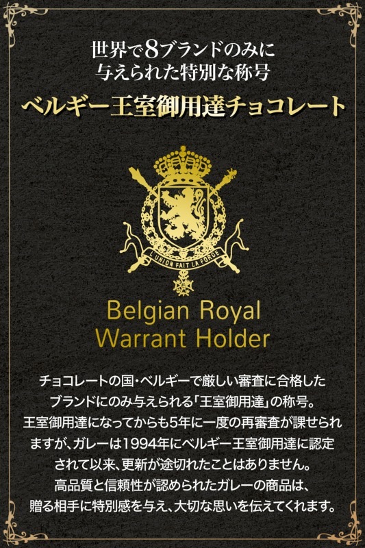Galler 졼 ʥΥС 10 ߥ륯