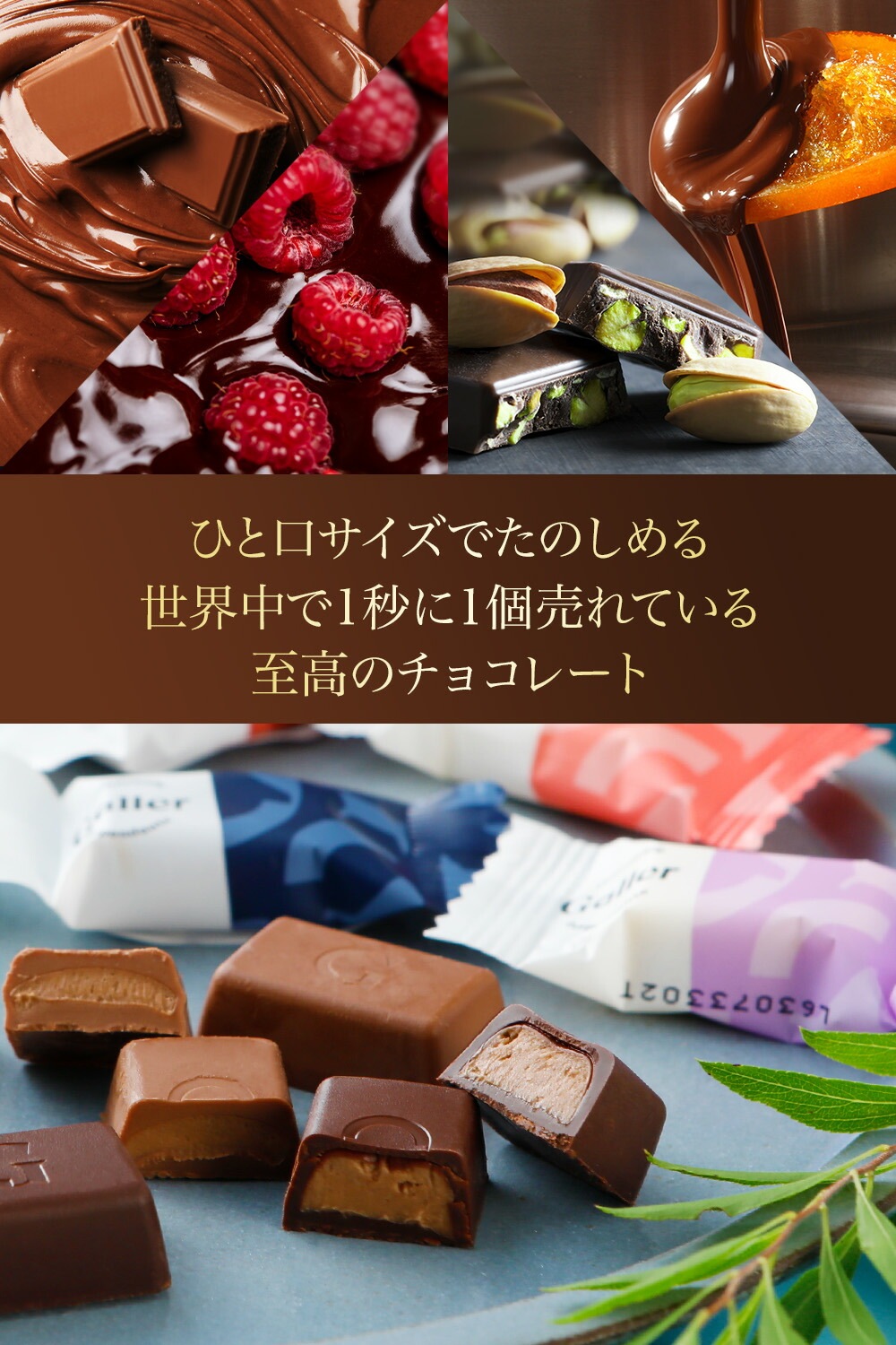 Galler 졼 ʥΥС 100  ٥륮ã祳졼
