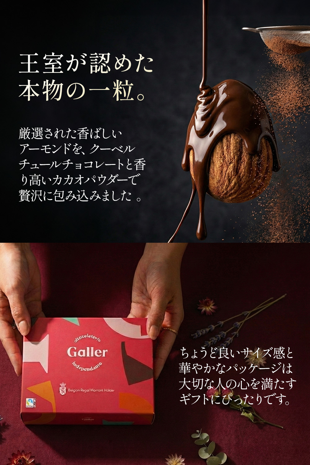 �������ɥ��祳�� ���祳�졼�� ���졼 Galler