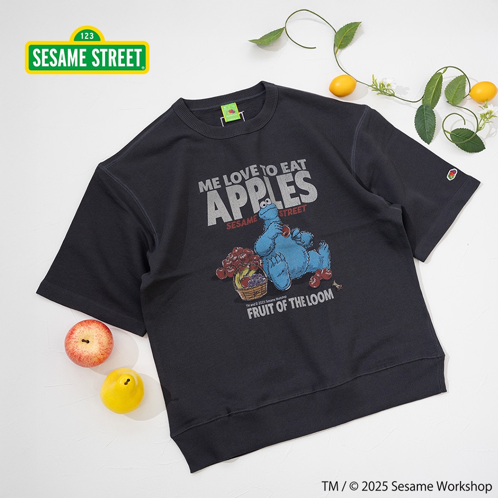 SESAMESTREET×FTL ハーフスリーブ甘編 イラスト プルオーバートップス B