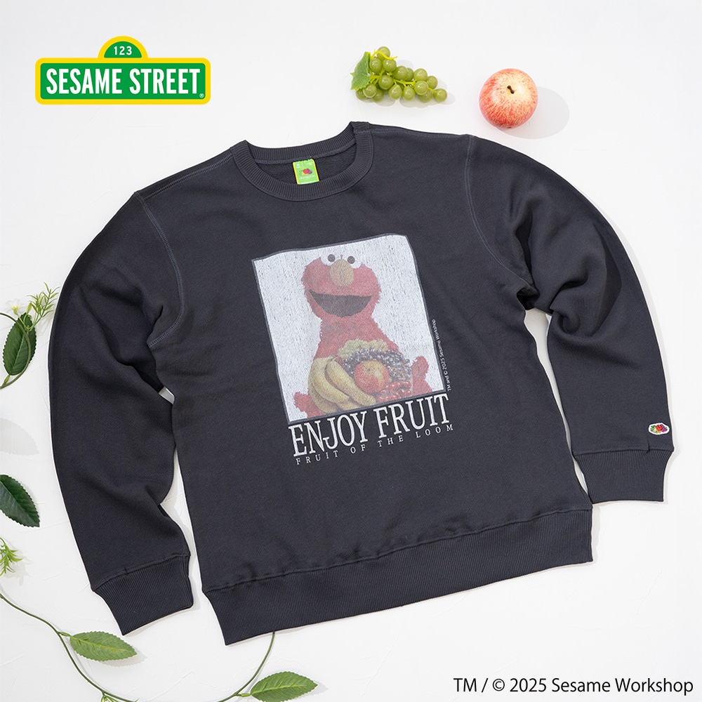 SESAMESTREET×FTL ロングスリーブ甘編 フォト プルオーバートップスA