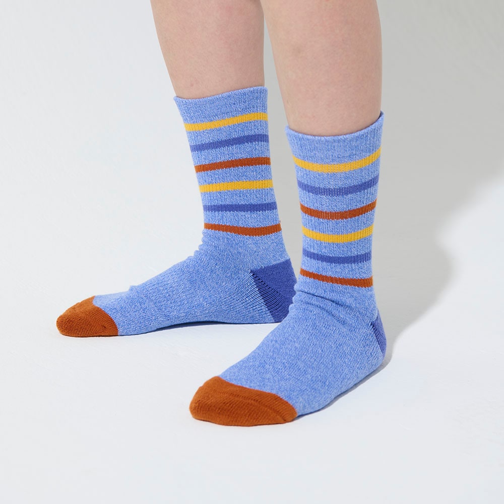 COB 1P Q.コットンマルチボーダー杢ソックス Lady's