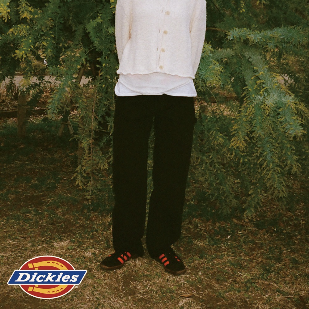 1939 model Painter'S Pant MN【ノベルティ対象商品】 | Dickies