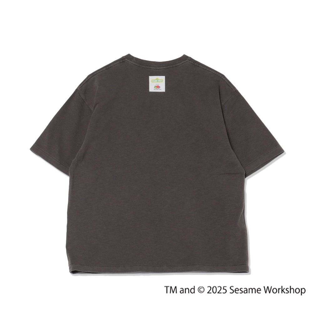 SESAME STREET×FTL Photo T-Shirt D