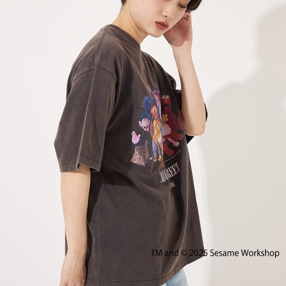 SESAME STREET×FTL Photo T-Shirt D