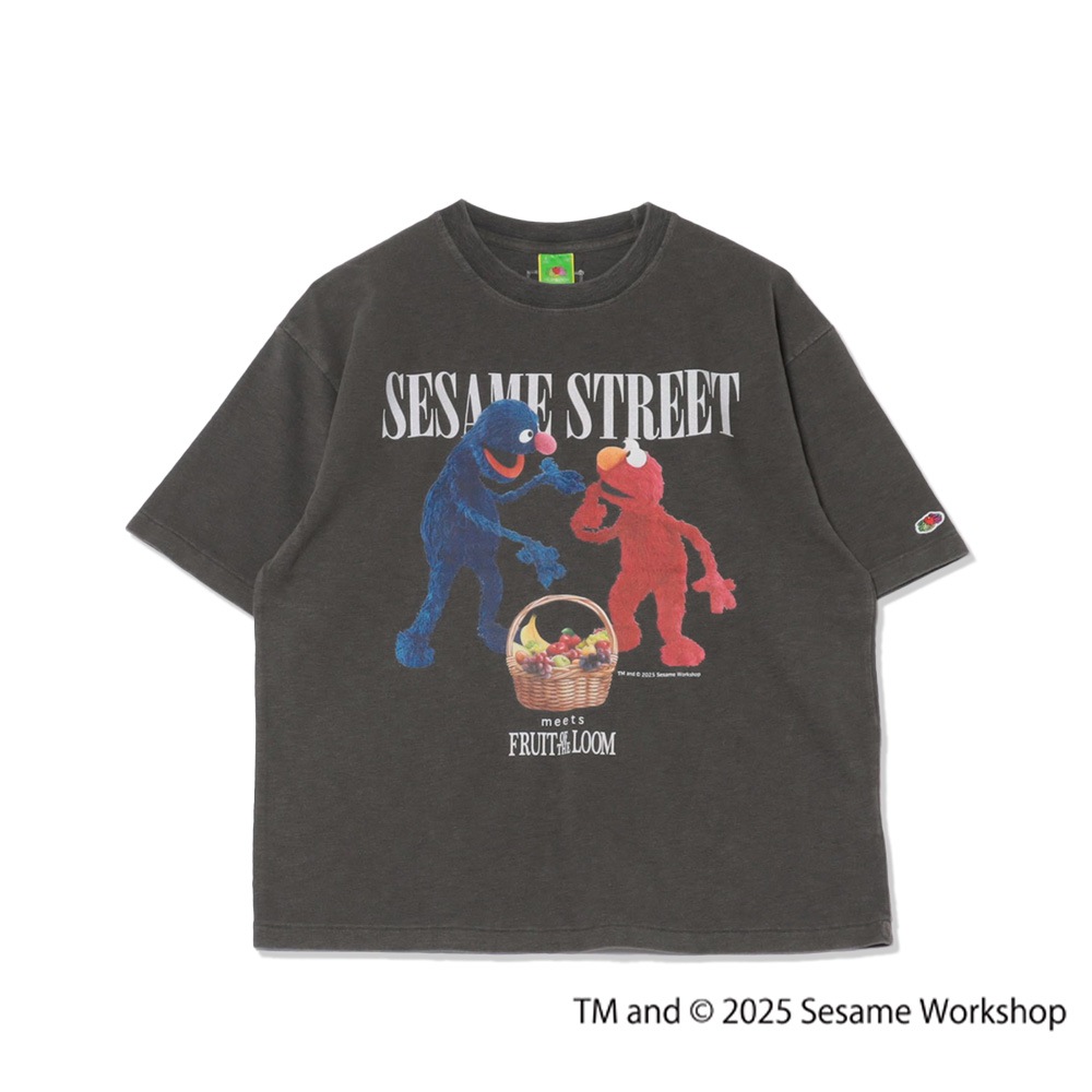 SESAME STREET×FTL Photo T-Shirt A