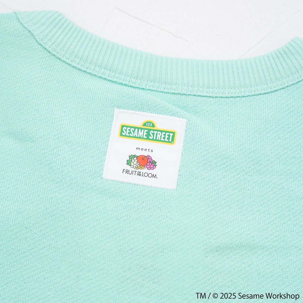 SESAMESTREET×FTL ハーフスリーブ甘編 イラスト プルオーバートップス A