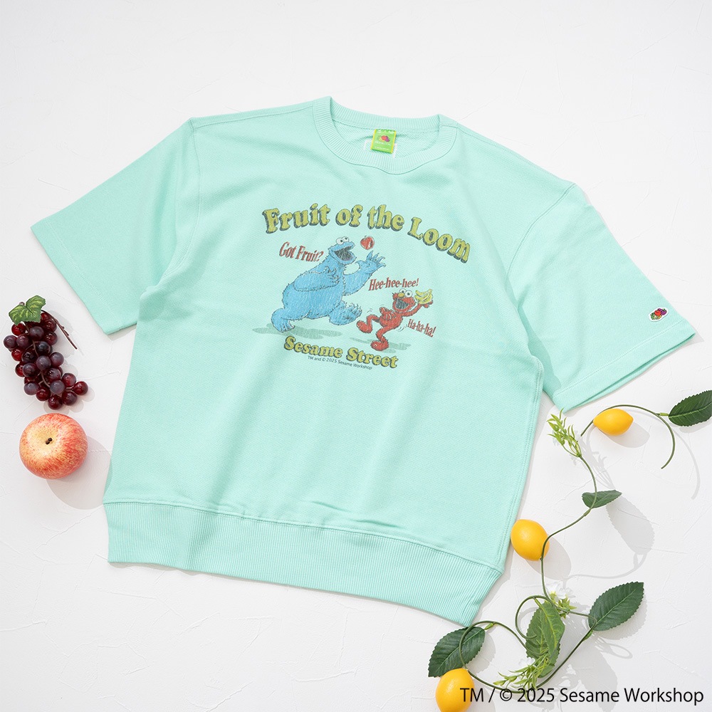 SESAMESTREET×FTL ハーフスリーブ甘編 イラスト プルオーバートップス A