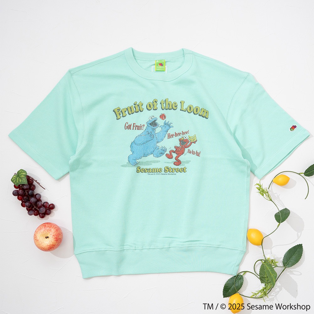 SESAMESTREET×FTL ハーフスリーブ甘編 イラスト プルオーバートップス A