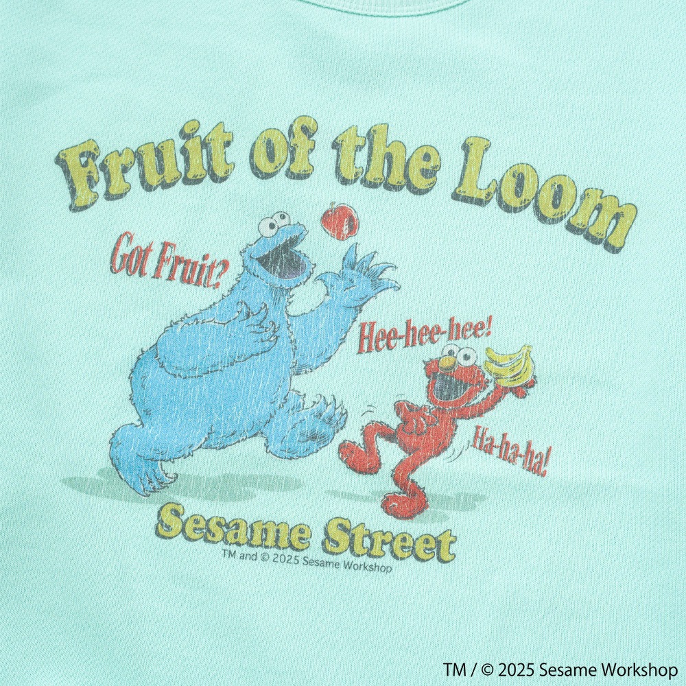 SESAMESTREET×FTL ハーフスリーブ甘編 イラスト プルオーバートップス A