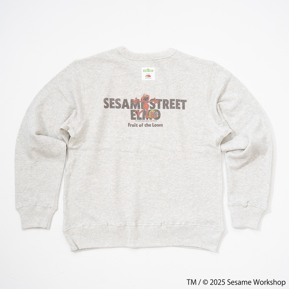 SESAMESTREET×FTL ロングスリーブ甘編 イラスト プルオーバートップス B