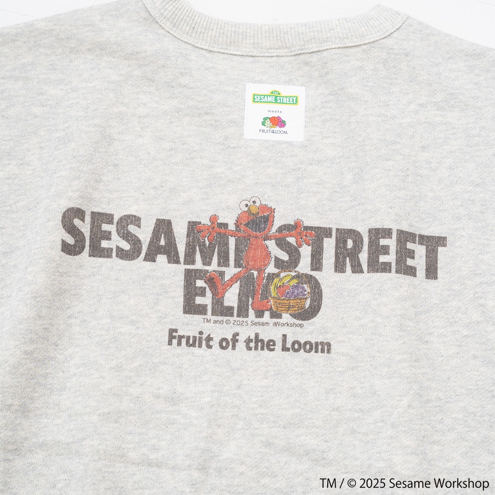 SESAMESTREET×FTL ロングスリーブ甘編 イラスト プルオーバートップス B