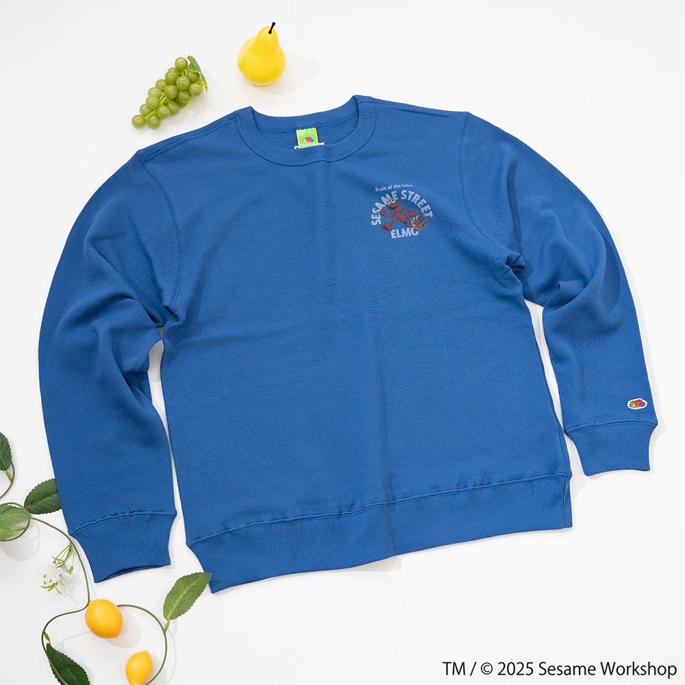 SESAMESTREET×FTL ロングスリーブ甘編 イラスト プルオーバートップス B
