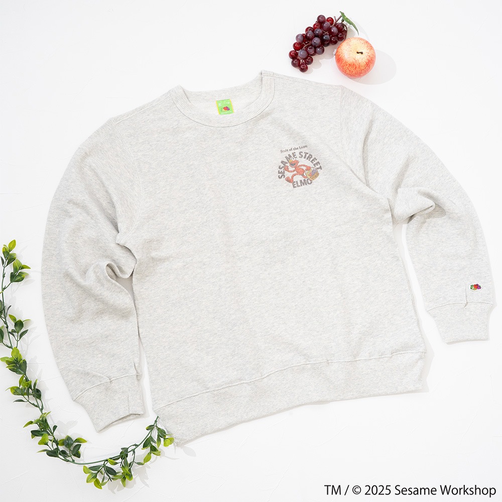 SESAMESTREET×FTL ロングスリーブ甘編 イラスト プルオーバートップス B