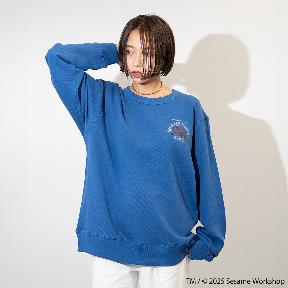 SESAMESTREET×FTL ロングスリーブ甘編 イラスト プルオーバートップス B