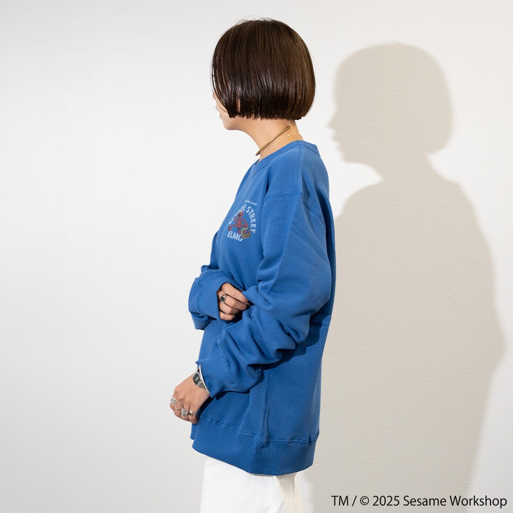 SESAMESTREET×FTL ロングスリーブ甘編 イラスト プルオーバートップス B