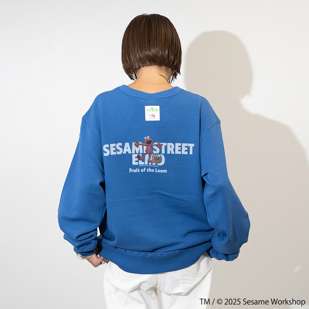 SESAMESTREET×FTL ロングスリーブ甘編 イラスト プルオーバートップス B