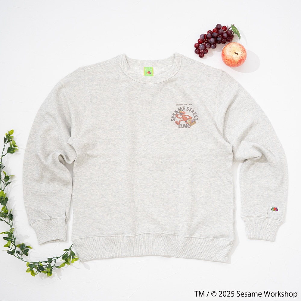SESAMESTREET×FTL ロングスリーブ甘編 イラスト プルオーバートップス B