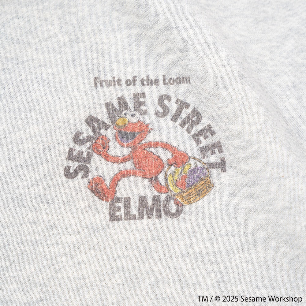 SESAMESTREET×FTL ロングスリーブ甘編 イラスト プルオーバートップス B