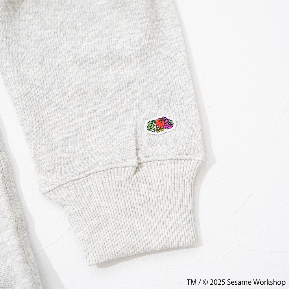SESAMESTREET×FTL ロングスリーブ甘編 イラスト プルオーバートップス B