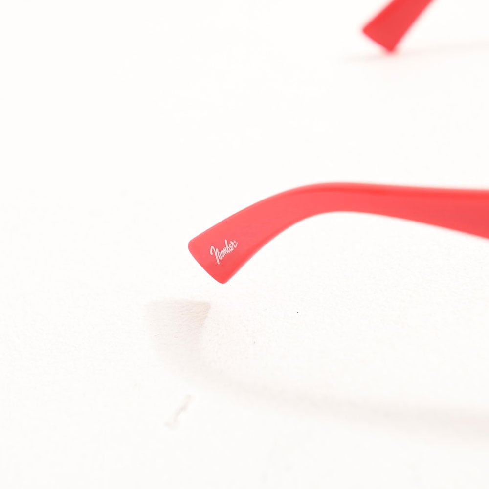 BIG FRAME SUNGLASSES
