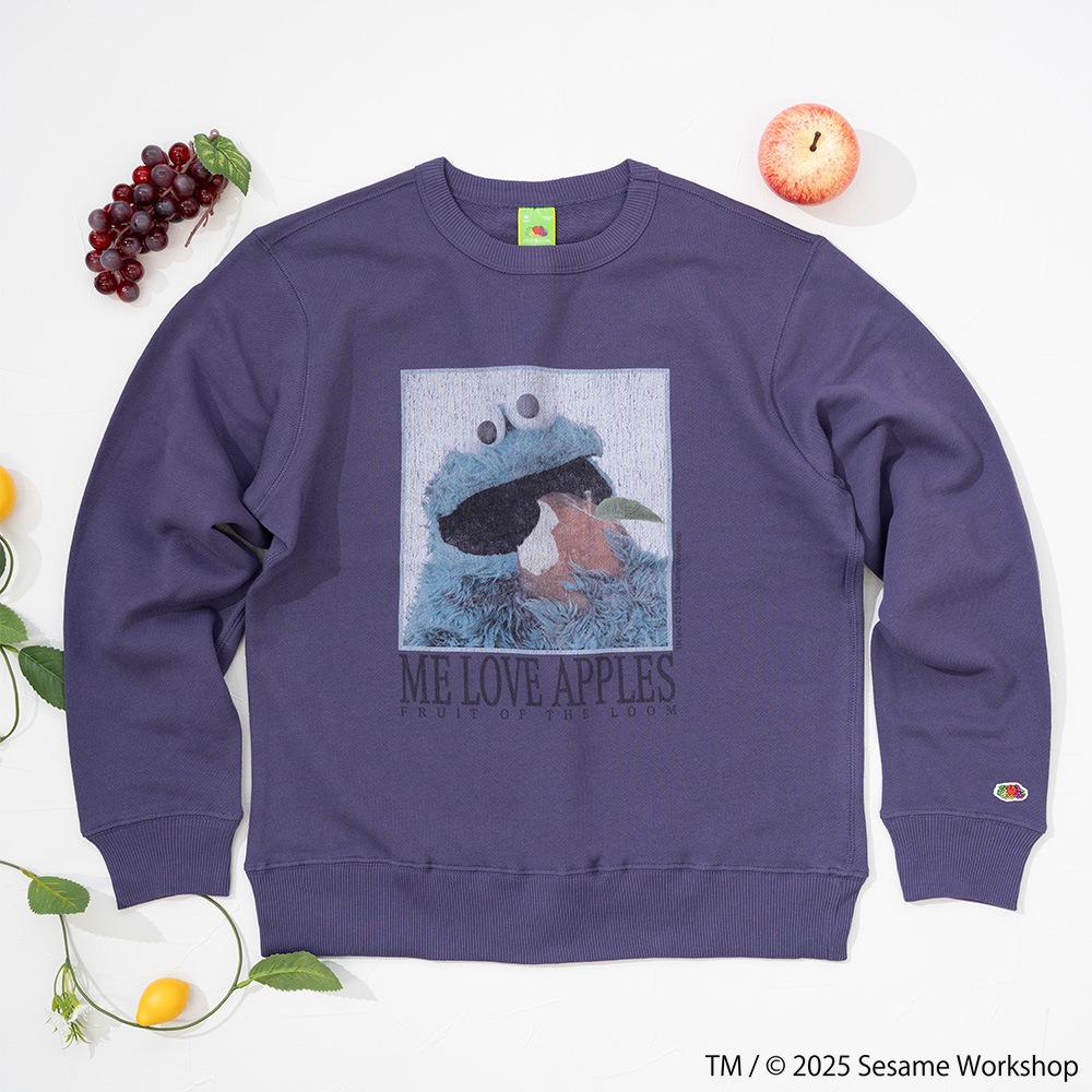 SESAMESTREET×FTL ロングスリーブ甘編 フォト プルオーバートップスB