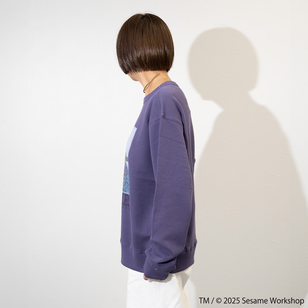SESAMESTREET×FTL ロングスリーブ甘編 フォト プルオーバートップスB