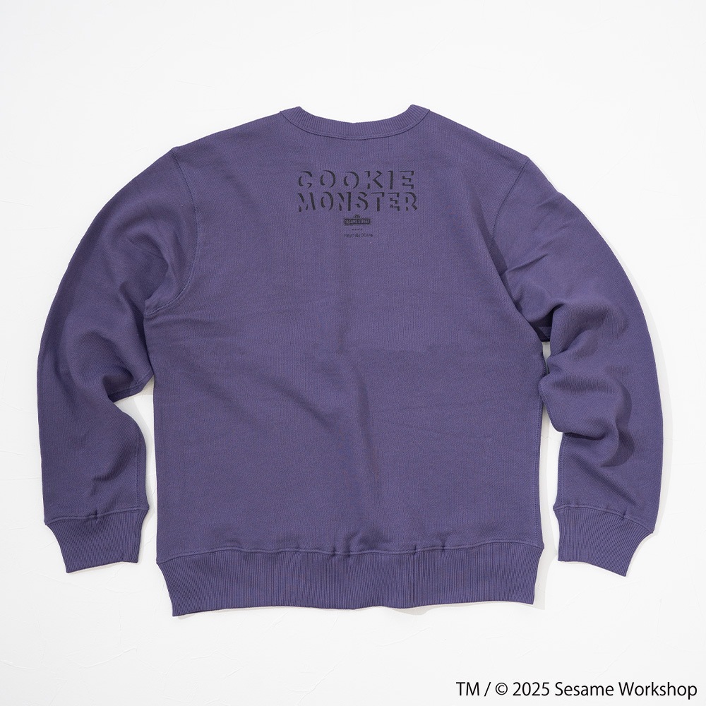 SESAMESTREET×FTL ロングスリーブ甘編 フォト プルオーバートップスB