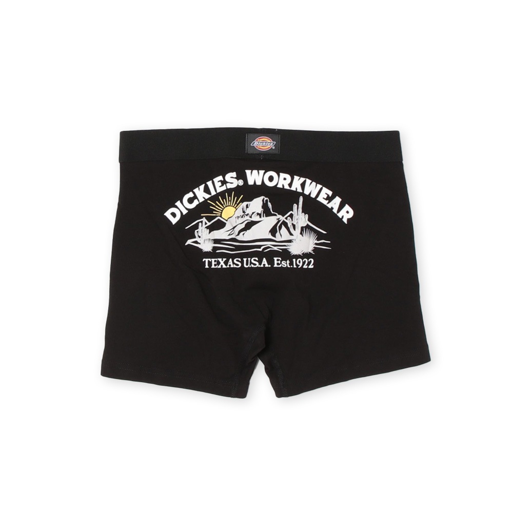 DK Texas mountain/全2色