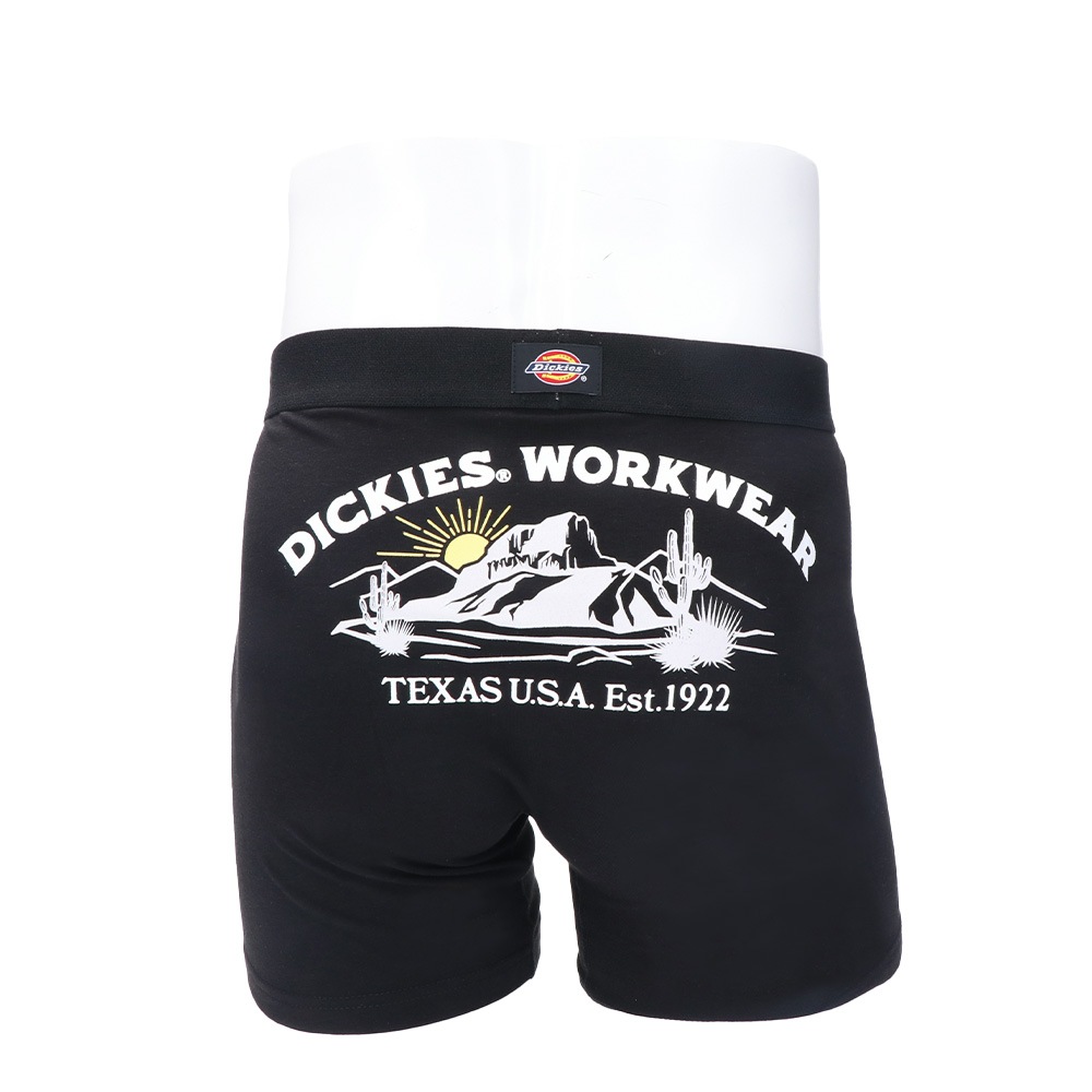 DK Texas mountain/全2色