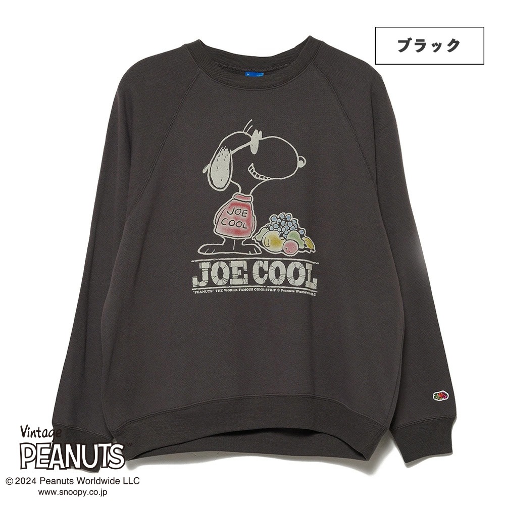 FRUIT OF THE LOOMxPEANUTSコラボ スウェット