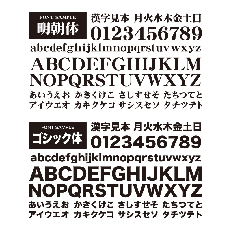 [Easy Order]Singlet Black Tropical