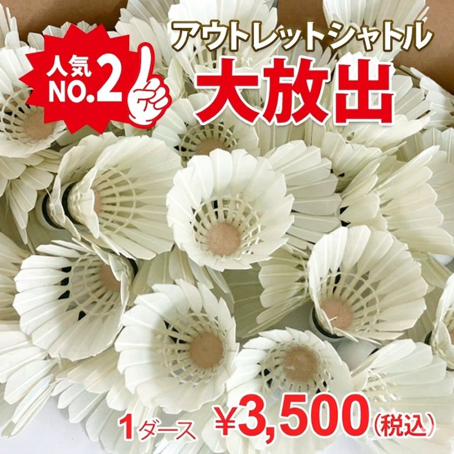 頑張らないバドミントン研究会 |