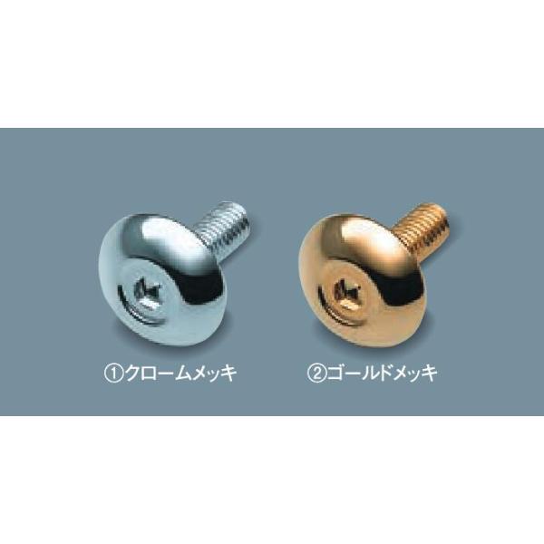 フロンクス ナンバープレート飾りボルト 99000-99069-533 99000-99069-534 WDB3S WEB3S スズキ 純正 アクセサリー パーツ FRONX