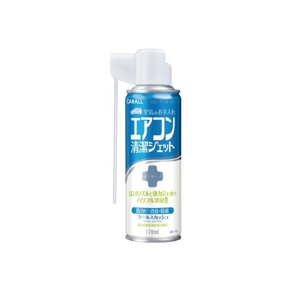 晴香堂 消臭エアエイド エアコン用 クールスカッシュ 170ml 1567