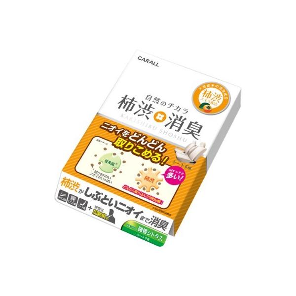 晴香堂 柿渋消臭 シート下 微香シトラス 200ml 3016