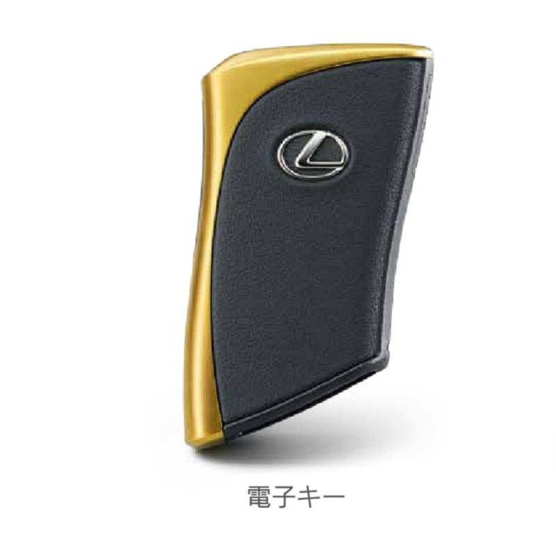 レクサス GX550 VJA252W 純正 アクセサリー プラスサポート用スマートキー（電子キー）〔8990E-48011 8990E-48020〕