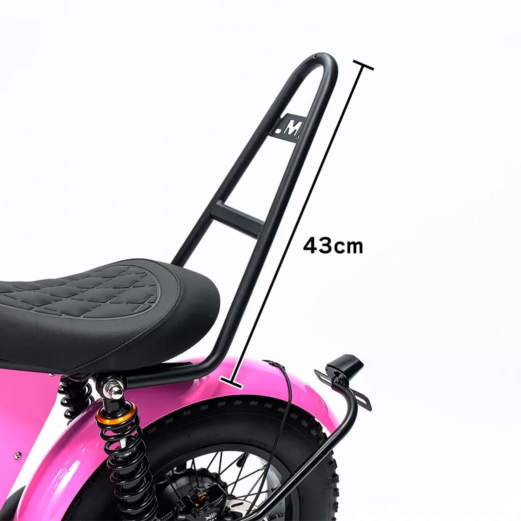 FT-02 MINI 純正バックレスト 車種専用設計 バイク 背もたれ スチールフレーム カスタム パーツ アクセサリー シンプル ブラック