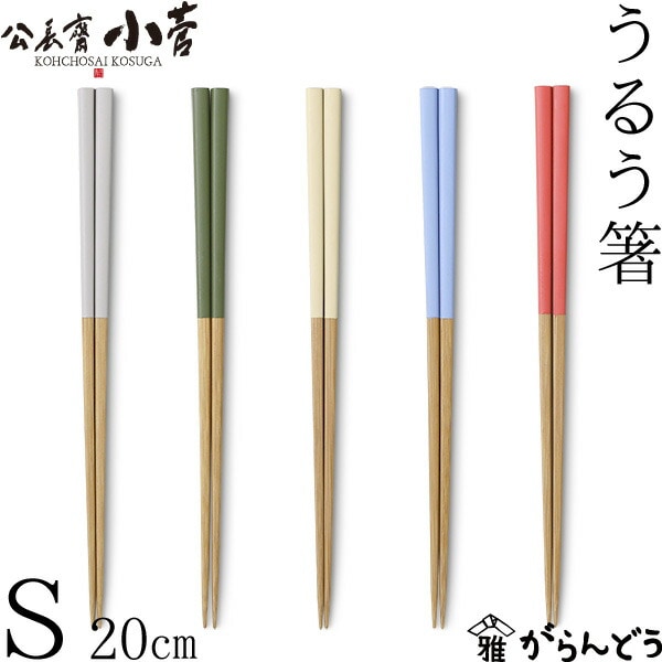 公長齋小菅 うるう箸S 公長斎小菅