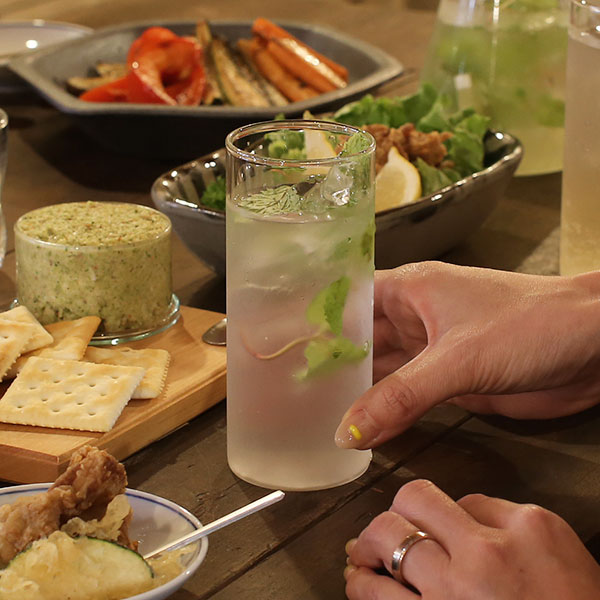 ボロシル ヴィジョングラス FL BOROSIL VISION GLASS FL