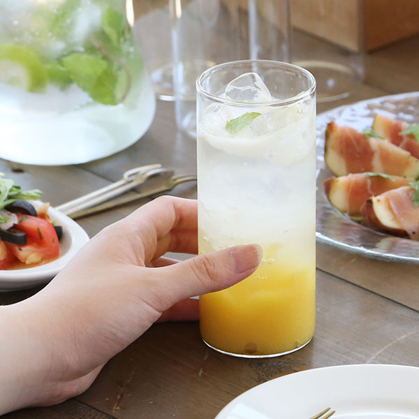 ボロシル ヴィジョングラス FL BOROSIL VISION GLASS FL