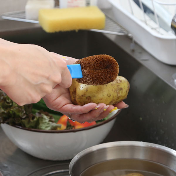 亀の子束子西尾商店 亀の子ジャンプ 小 亀の子たわし