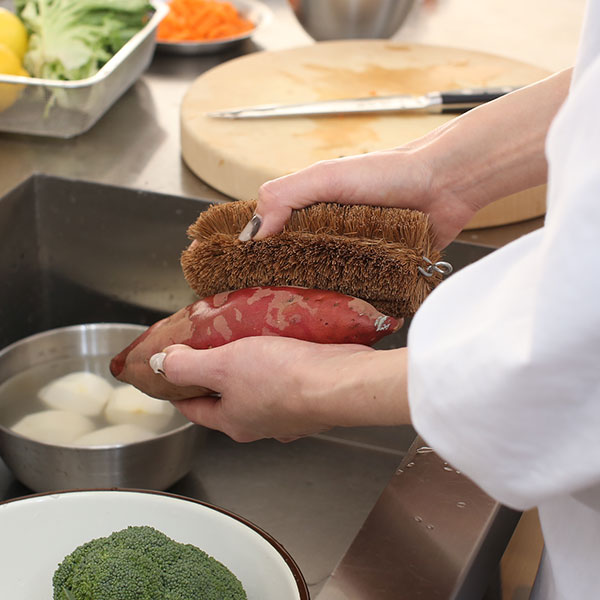 亀の子束子西尾商店 亀の子たわし 3号(中)