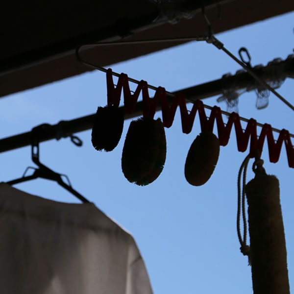 亀の子束子西尾商店 亀の子たわし 3号(中)