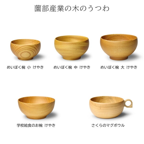 【西郷】肺皿 都築青峰 Seiho Tsuzuki 黒 紅葉 蓋碗 皿付 ST0057 | TOKONAME
