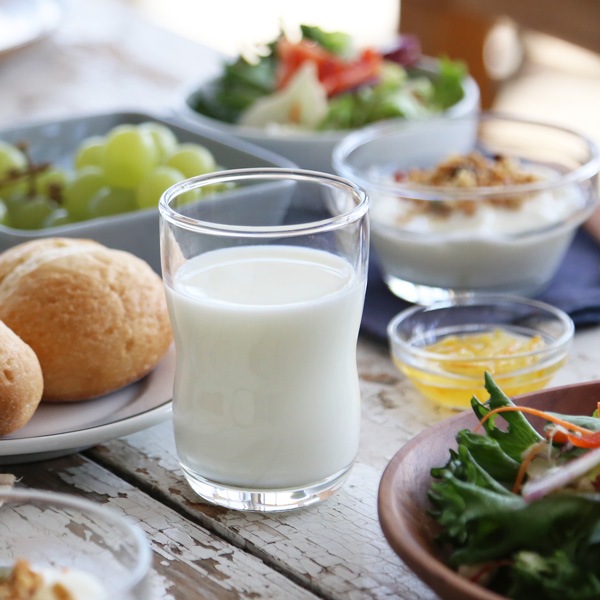 アデリア つよいこグラス M