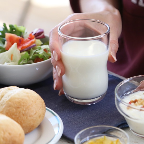 アデリア つよいこグラス M