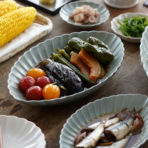 JICON 菊長鉢 中 磁今(ジコン)